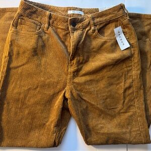 PacSun Corduroy Pants Womens 28 High Rise Mom Jean Oak Casual Pants- NWT
